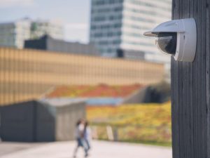 alt="AXIS P3818-PVE Panoramic Camera in park"