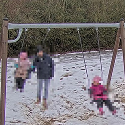 AXISライブプライバシーシールドで複数のマスクをかけている画像