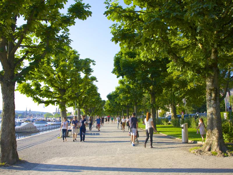 強力かつ安全