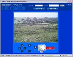 ライブ映像表示画面